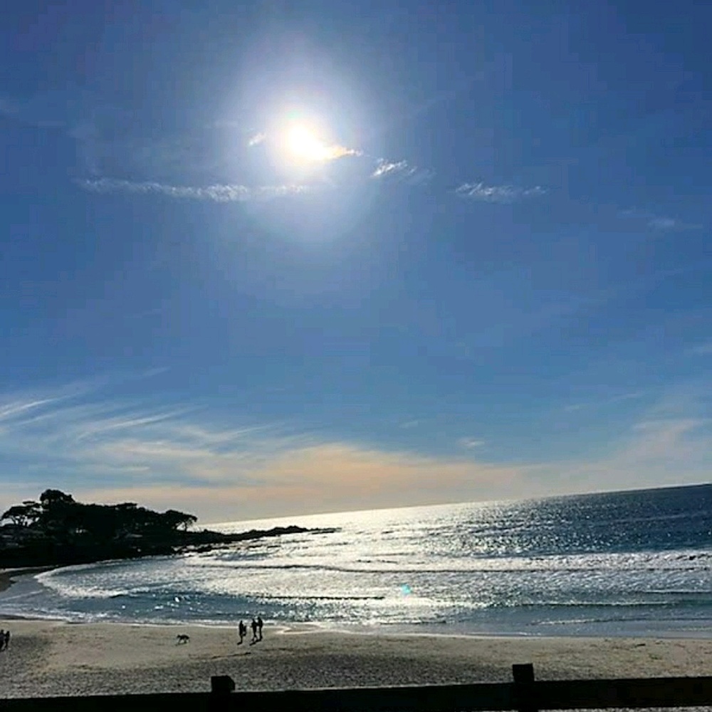 Meet your Posher, Mari